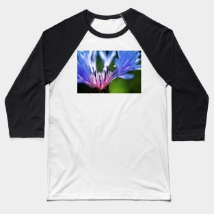 Cornflower Floral Macro Art Baseball T-Shirt